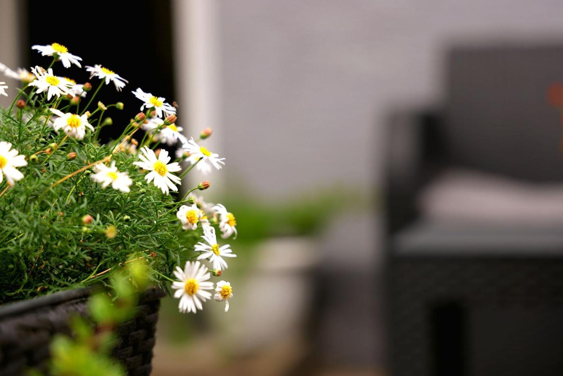 B&B Cindra Karlovac Dış mekan fotoğraf